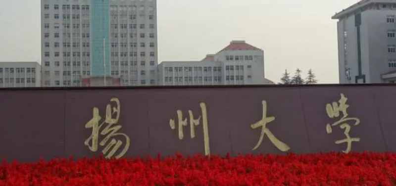 揚州所有的本科?？拼髮W(xué)名單（2024）