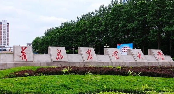 青島農(nóng)業(yè)大學(xué)評價怎么樣,學(xué)校好不好