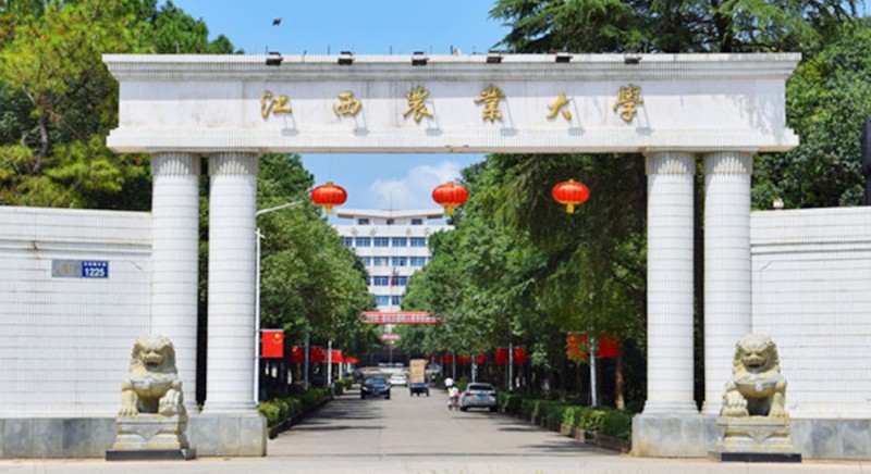 2024江西農(nóng)業(yè)大學(xué)評價怎么樣,學(xué)校好不好