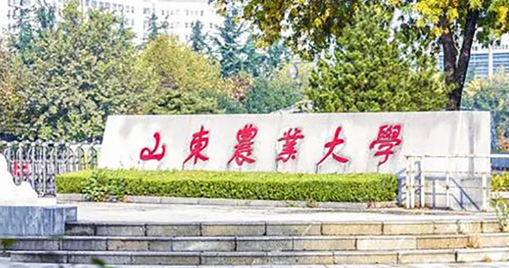 2024山東農(nóng)業(yè)大學評價怎么樣,學校好不好