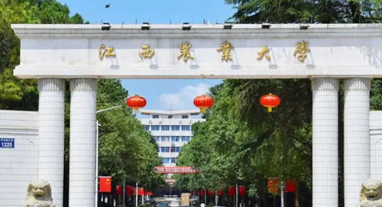在江西高考555分算什么水平（近三年）江西高考555分能上的大學 