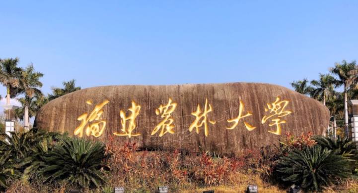在福建高考530分算什么水平（近三年）福建高考530分能上的大學(xué) 