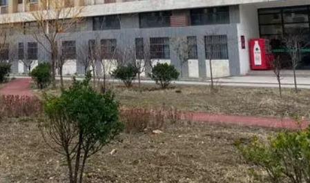 濟(jì)寧高級職業(yè)學(xué)校2023年招生錄取分?jǐn)?shù)線（2024年參考）