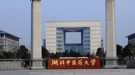 2023湖北中醫(yī)藥大學(xué)高考錄取分?jǐn)?shù)線是多少（2024參考）