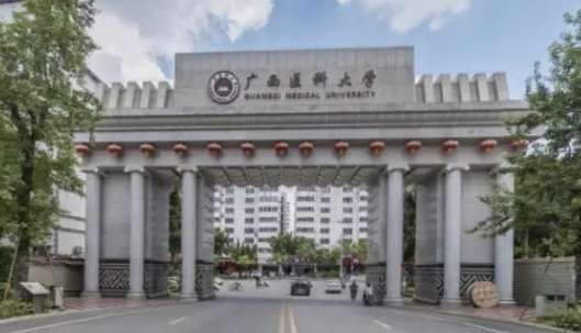 2023廣西醫(yī)科大學高考錄取分數(shù)線是多少（2024參考）