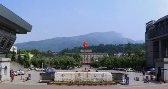 2023四川農業(yè)大學高考錄取分數(shù)線是多少（2024參考）