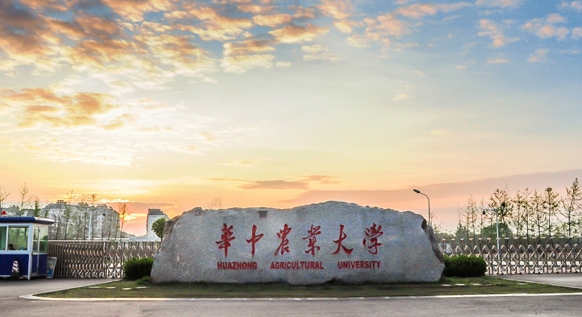 2023華中農業(yè)大學高考錄取分數(shù)線是多少（2024參考）