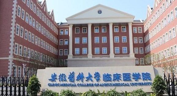 2023安徽醫(yī)科大學(xué)臨床醫(yī)學(xué)院高考錄取分數(shù)線是多少（2024參考）