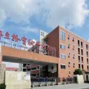 立格實驗