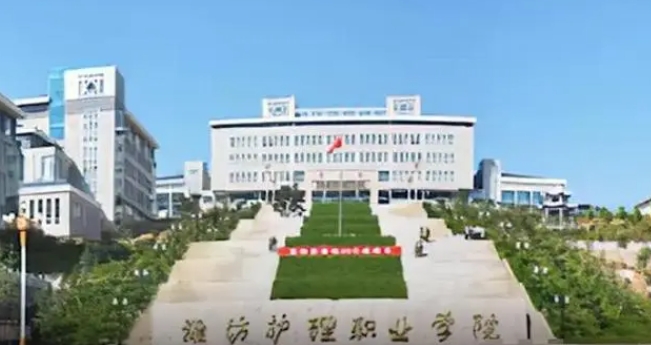 2024濰坊護理職業(yè)學(xué)院專業(yè)排行榜 