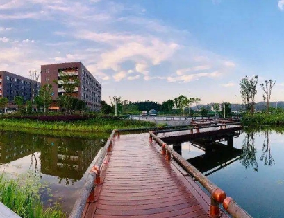 2024年西華大學(xué)(宜賓校區(qū))多少錢