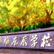 綿陽(yáng)東辰學(xué)校