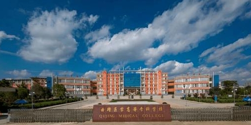 2024楚雄醫(yī)藥高等?？茖W(xué)校專業(yè)排行榜 