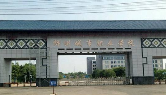 2024柳州城市職業(yè)學院專業(yè)排行榜 