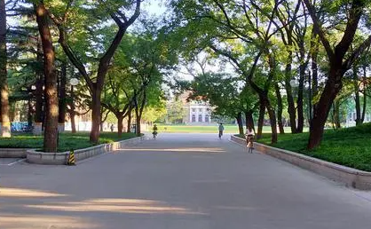 2024銅陵高考科目和每個科目分值