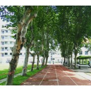 武漢市第四十三中學