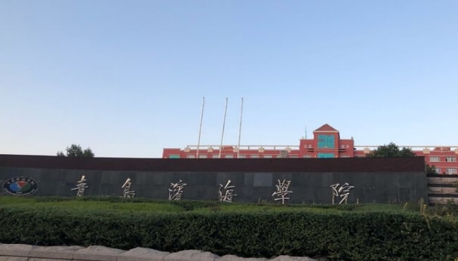青島濱海學(xué)院高考錄取分?jǐn)?shù)線是多少（2024參考）