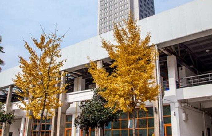 西安建筑科技大學(xué)華清學(xué)院高考錄取分?jǐn)?shù)線是多少（2024參考）