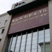 山西戲劇職業(yè)學院附屬中等藝術學校
