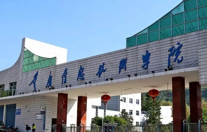 2023重慶信息技術(shù)職業(yè)學院高考錄取分數(shù)線是多少（2024參考）
