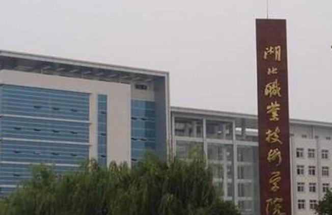2023湖北職業(yè)技術(shù)學(xué)院高考錄取分?jǐn)?shù)線(xiàn)是多少（2024參考）