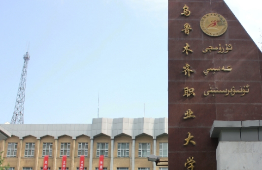 在新疆高考255分算什么水平（近三年）新疆高考255分能上的大學(xué)