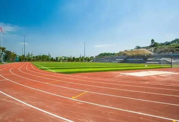2024重慶市第八中學(xué)校(沙坪壩校區(qū))招生計(jì)劃 招生人數(shù)是多少(附要求、條件、對(duì)象)