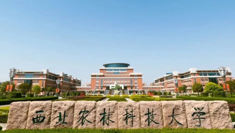 2024中國三線城市大學(xué)ABC排名