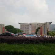 應(yīng)城市第一高級中學(xué)
