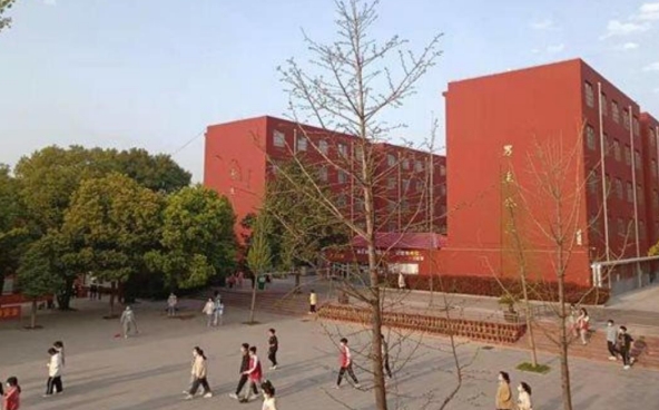漯河市召陵區(qū)中等專業(yè)學(xué)校招生簡章2024年
