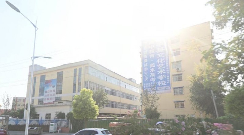 2024鎮(zhèn)平縣文化藝術(shù)學校招生計劃 招生人數(shù)是多少(附要求、條件、對象)