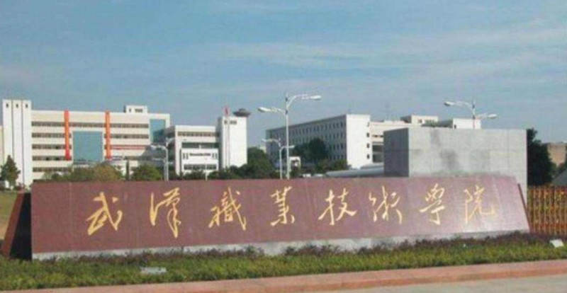 2024武漢?？拼髮W(xué)有哪些？附武漢?？茖W(xué)校排名前十名單