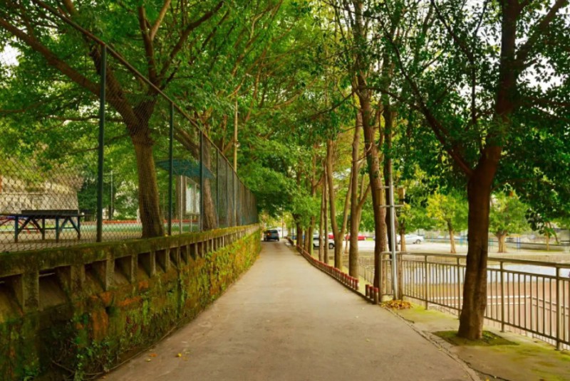 重慶市二十八中地址，乘車路線