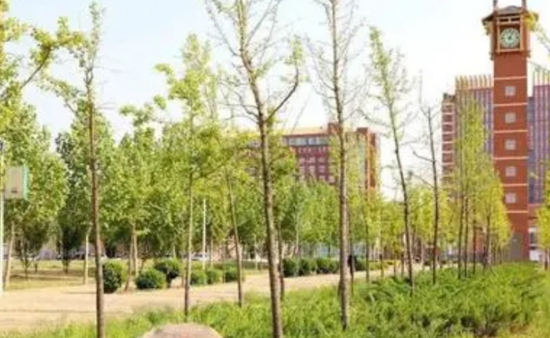 晉州市第一中學(xué)怎么樣、好不好