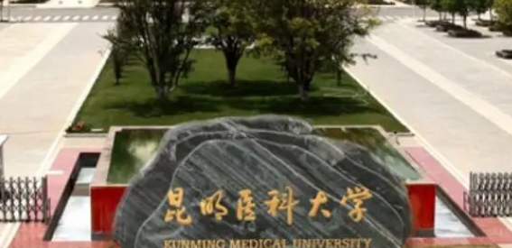 上海高考520分能上什么大學(xué)（2024年參考）