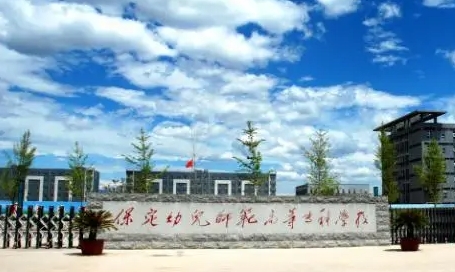 保定幼兒師范高等?？茖W校中外合作辦學專業(yè)一覽 （2024）