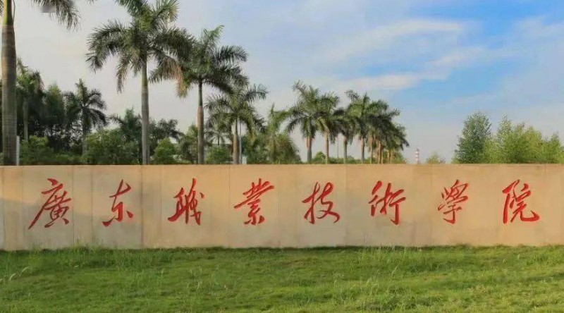 廣東職業(yè)技術(shù)學(xué)院中外合作辦學(xué)專業(yè)一覽 （2024）