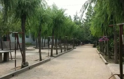 行唐曙光中學怎么樣、好不好