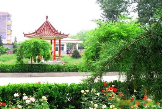 靈壽護駕疃高級中學(xué)怎么樣、好不好