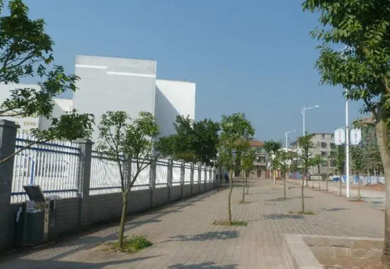 石家莊龍鳳中學(xué)怎么樣、好不好