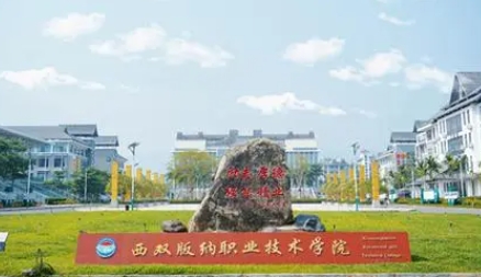 西雙版納職業(yè)技術(shù)學院藝術(shù)類學費（2024）