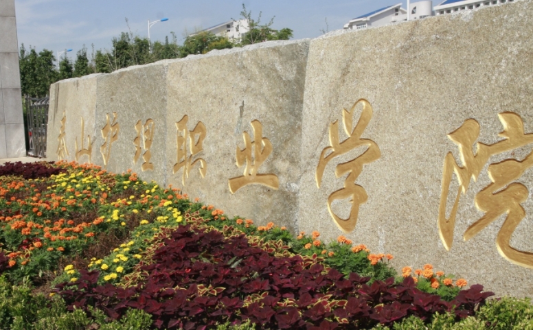 泰山護(hù)理職業(yè)學(xué)院中外合作辦學(xué)學(xué)費(fèi)（2024）