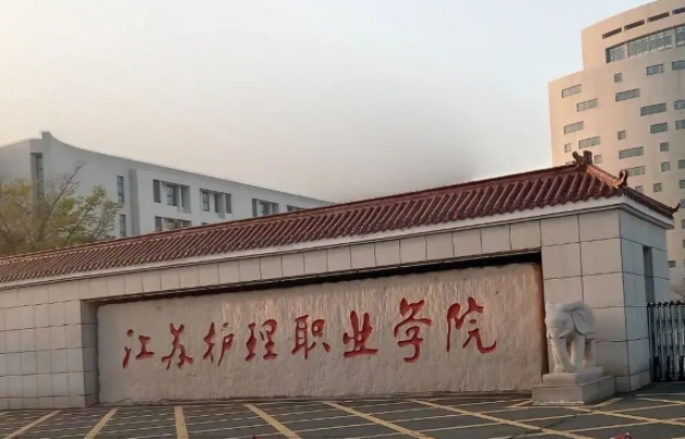 江蘇護理職業(yè)學(xué)院中外合作辦學(xué)專業(yè)一覽 （2024）