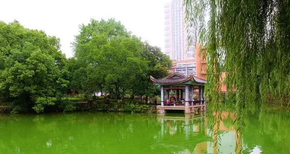 讓美育之花開(kāi)遍校園：鄭州藝術(shù)幼兒師范學(xué)校教育藝術(shù)節(jié)展演精彩不斷！
