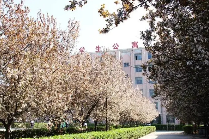 邢臺市第三中學地址，乘車路線