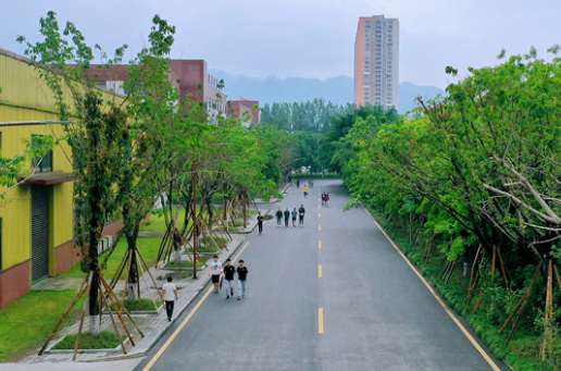 重慶2025年鐵路學校大專有哪些