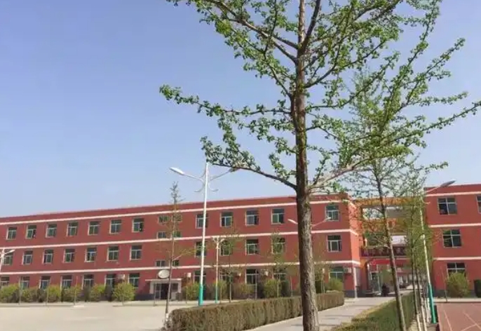 2025保定市徐水天源學(xué)校招生計劃 招生人數(shù)是多少(附要求、條件、對象)