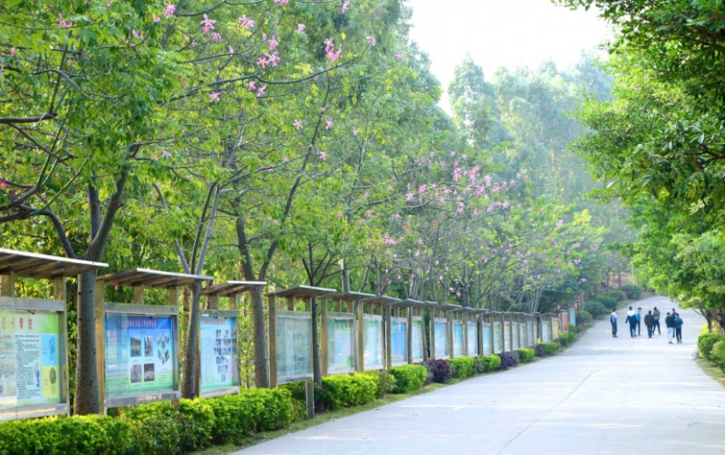 廣東2025年什么中專學校就業(yè)最好