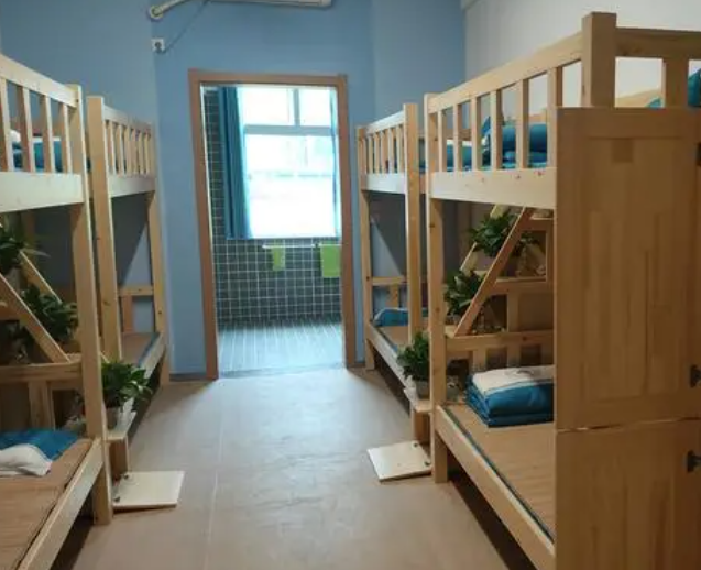 技能比拼展鋒芒，競賽奪魁獲佳績
