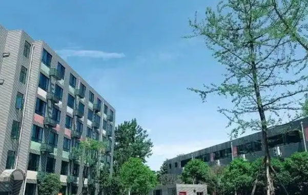 2025成都市郫都區(qū)綿實(shí)外國語學(xué)校招生計劃 招生人數(shù)是多少(附要求、條件、對象)